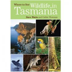 Where to see Wildlife in Tasmania