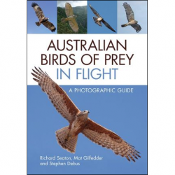 Australian Birds of Prey in Flight