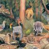 Wild Australia on the Forest Floor Puzzle Sample