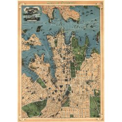 Robinson's Aeroplane Map of Sydney