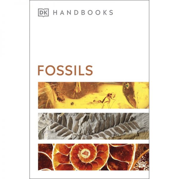 Fossils