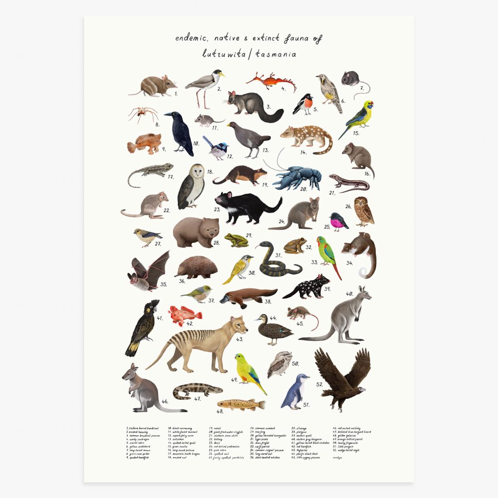 Endemic, Native & Extinct Fauna Of Lutruwita Tas Print - Geographica