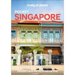 Pocket Singapore 9781838699185