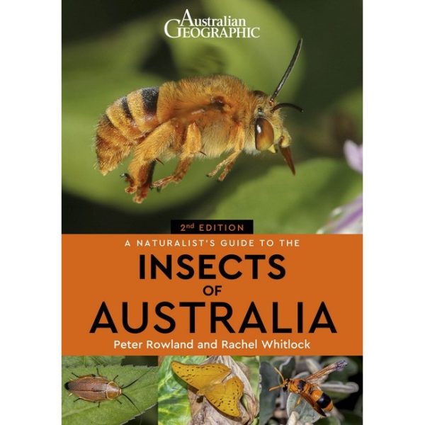 Naturalist's Guide to the Insects of Australia