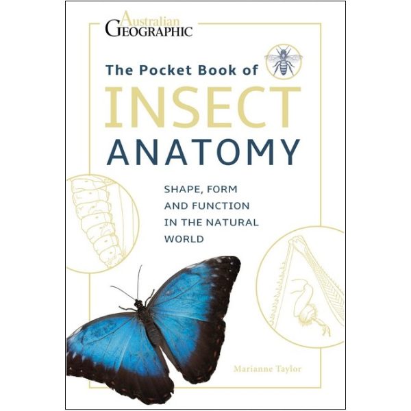 Pocket Book of Insect Anatomy