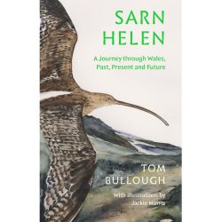 Sarn Helen