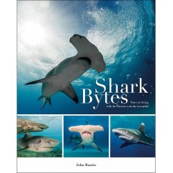 Shark Bytes