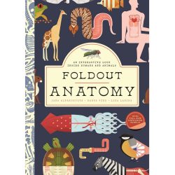 Foldout Anatomy