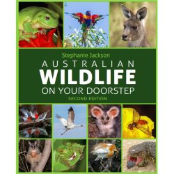 Australian Wildlife On Your Doorstep