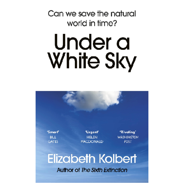 Under a White Sky