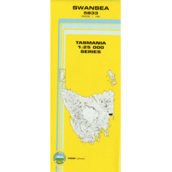 Swansea 1:25k Topo Map