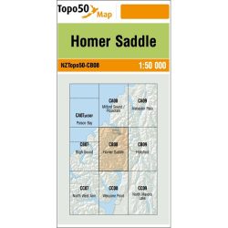 Homer Saddle CB08 NZ Topo Map