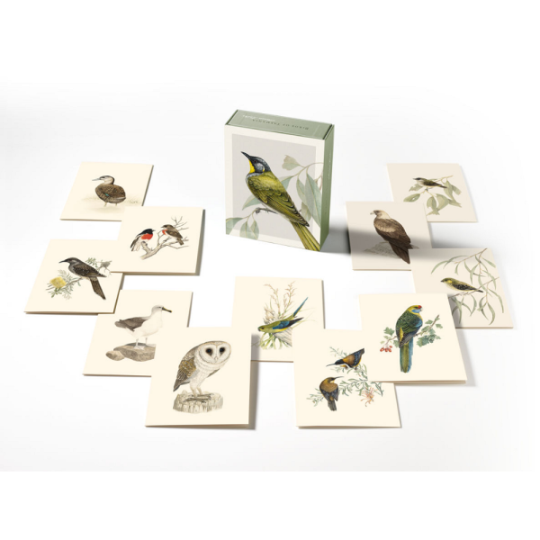 Birds of Tasmania Boxed Card Set 2