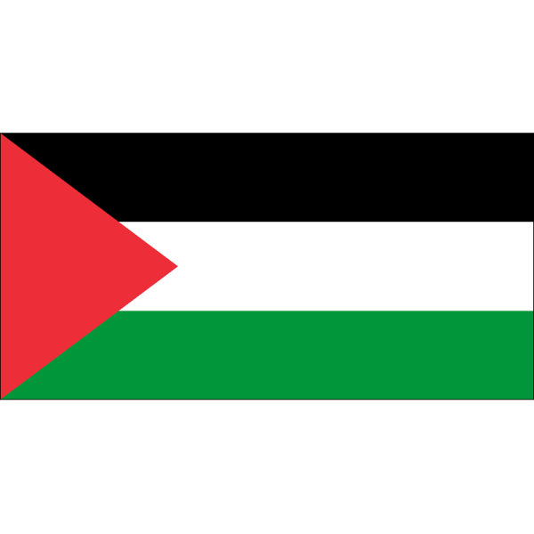 Palestine Flag