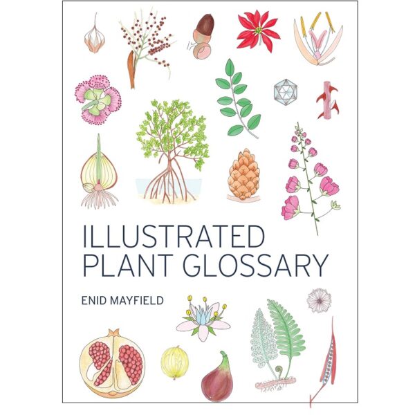Illustrated Plant Glossary