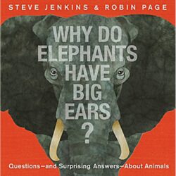 Why Do Elephants Have Big Ears