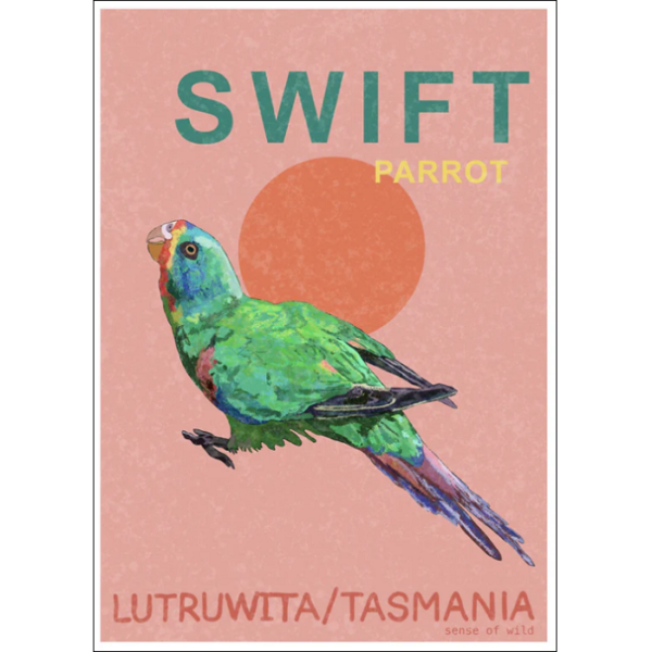 Swift Parrot Art Print