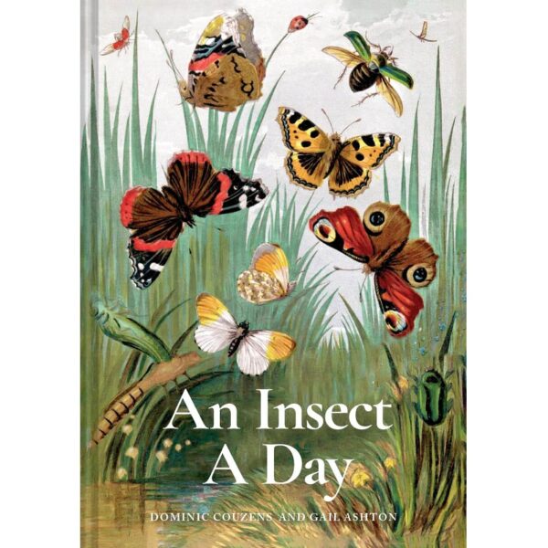 An Insect A Day