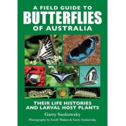 A Field Guide to Butterflies of Australia