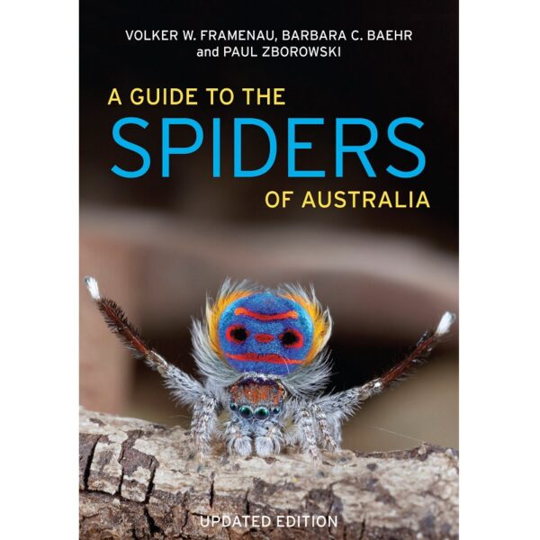 A Guide to the Spiders of Australia