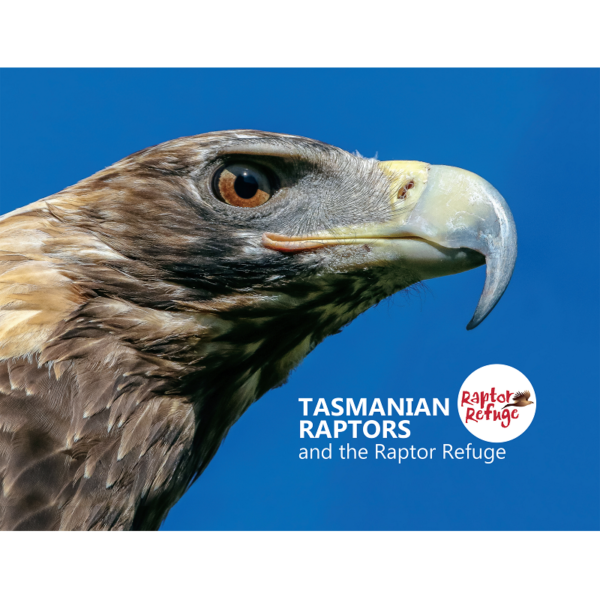 Tasmanian Raptors 9780646896892