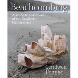 Beachcombing