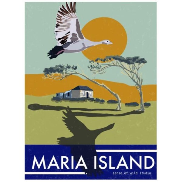 Maria Island Art Print