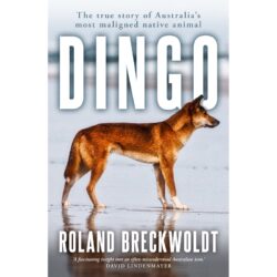 Dingo 9781761471179