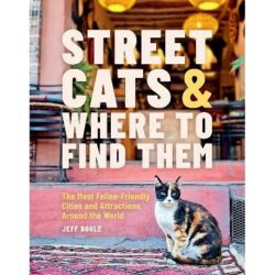 Street Cats Where to Find Them