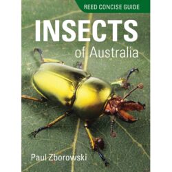 Reed Concise Guide Insects of Australia