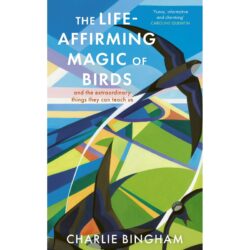 The Life Affirming Magic of Birds