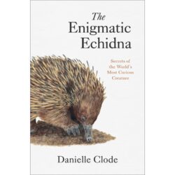 The Enigmatic Echidna 9781760645328