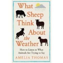 What Sheep Think About the Weather