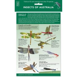 Insects of Australia ID Chart