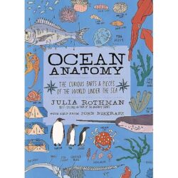 Ocean Anatomy