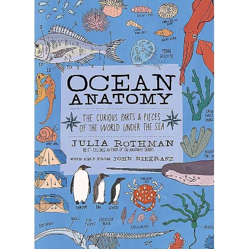Ocean Anatomy