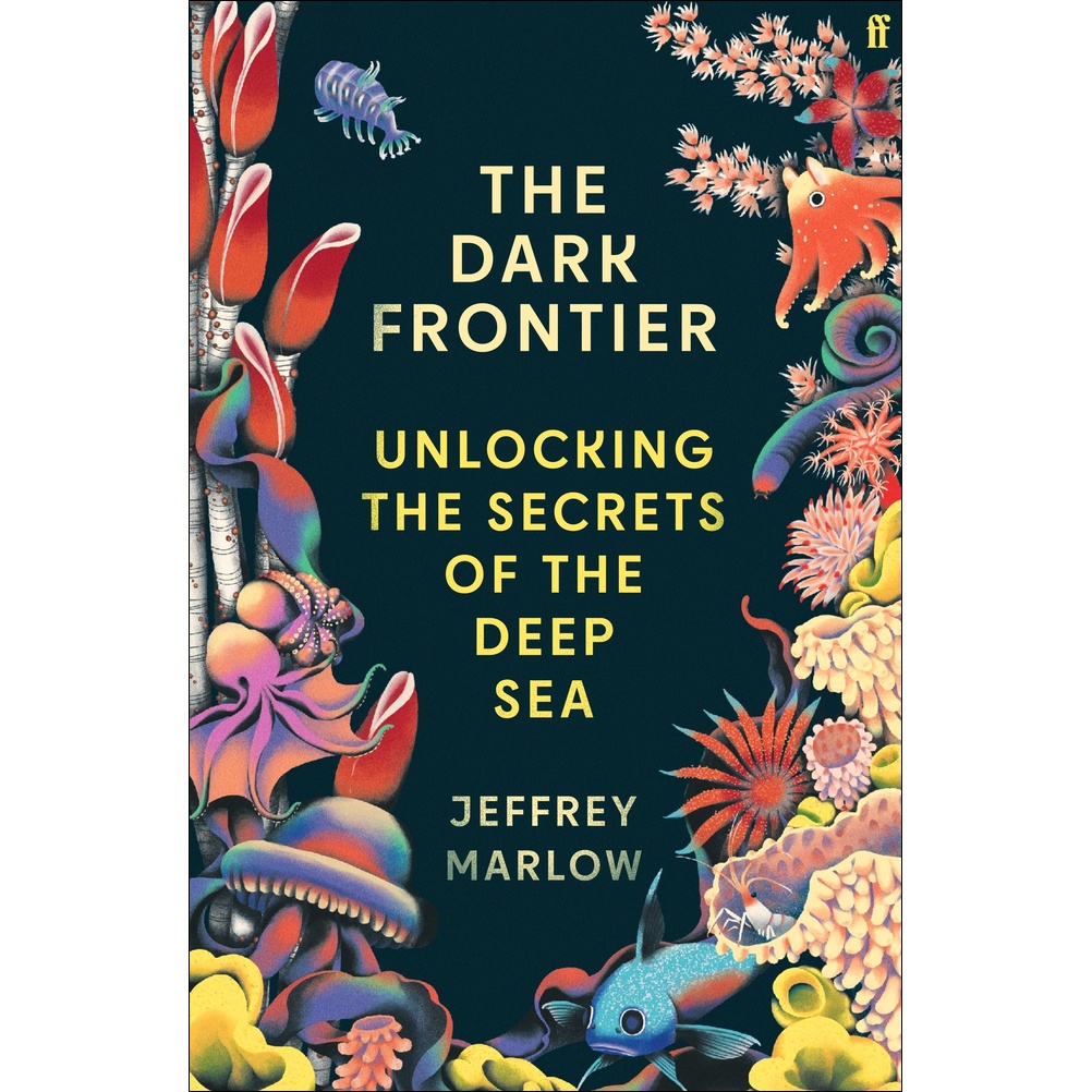 The Dark Frontier 9780571396689