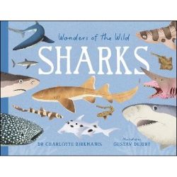 Wonders of the Wild Sharks