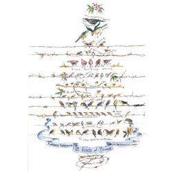 12 Birds of Bruny Island Poster