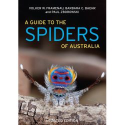 A Guide To Spiders Of Australia