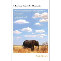 A Training School for Elephants