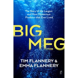Big Meg