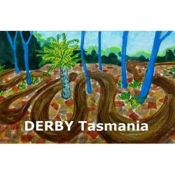 Derby Magnet