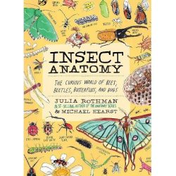 Insect Anatomy