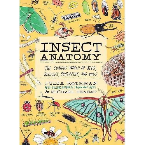 Insect Anatomy