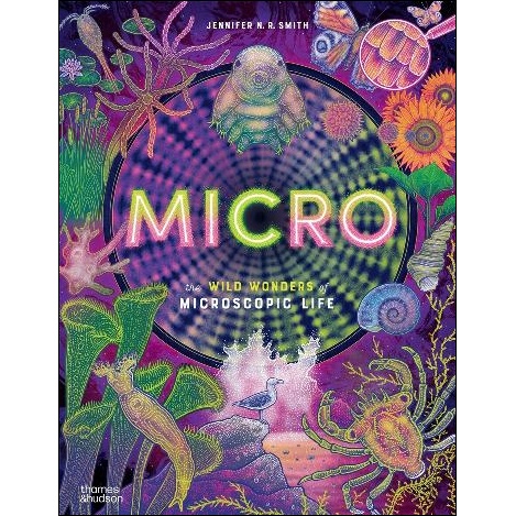 Micro