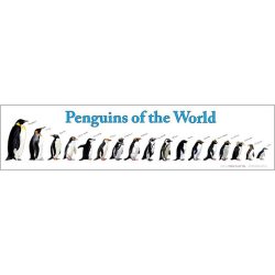 Penguins of the World Poster