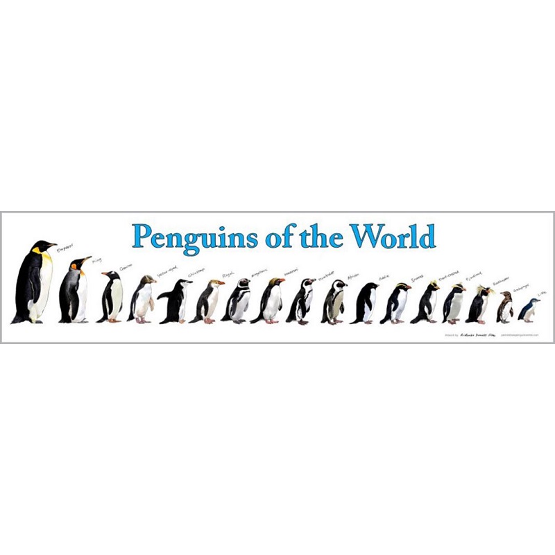 Penguins of the World Poster