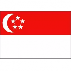 Singapore Flag