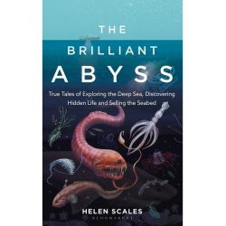 The Brilliant Abyss
